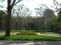 UCLA